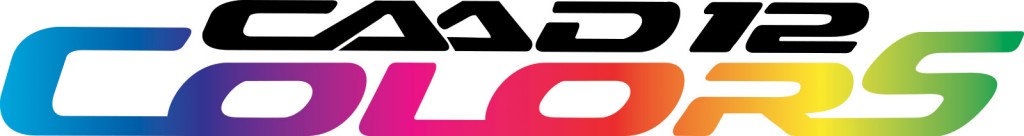 0728_caad12colors-logo
