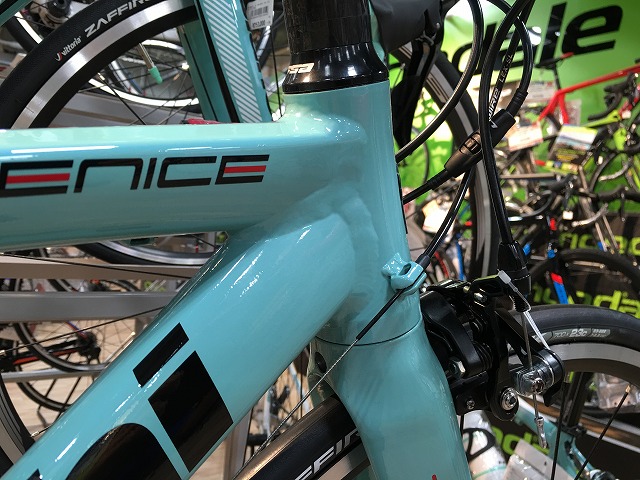 BIANCHI 16 FENICE ELITE 105 | 福岡で自転車をお探しならY's Road福岡 