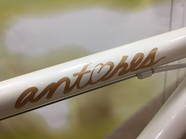 レディースモデル】ANTARESのクロモリロード再入荷！ | 福岡で自転車をお探しならY's Road福岡天神店
