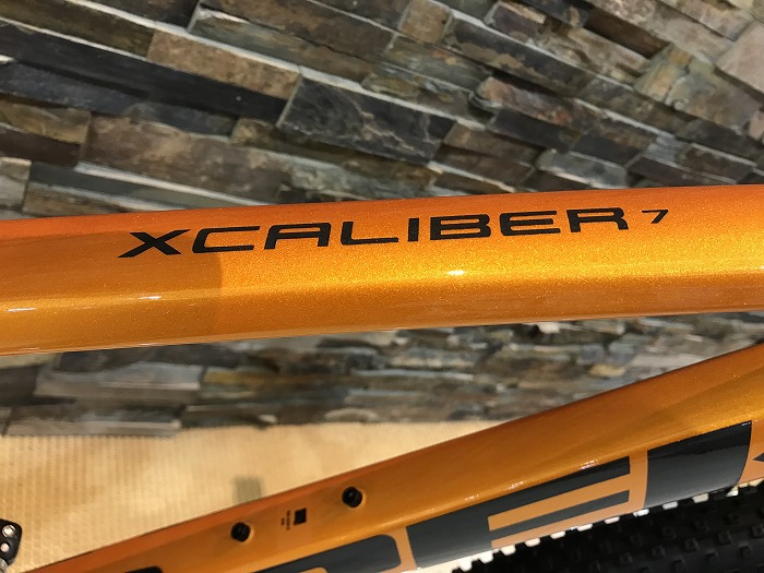 TREK】ハードテイルならまさにコレ！！『X-Caliber 7』トレイルに
