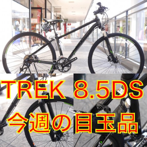 【今週末の目玉品】 TREK 型落 8.5DS 2台入荷しましたっ!!｜Y 