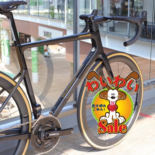 IMG_9310 - コピー