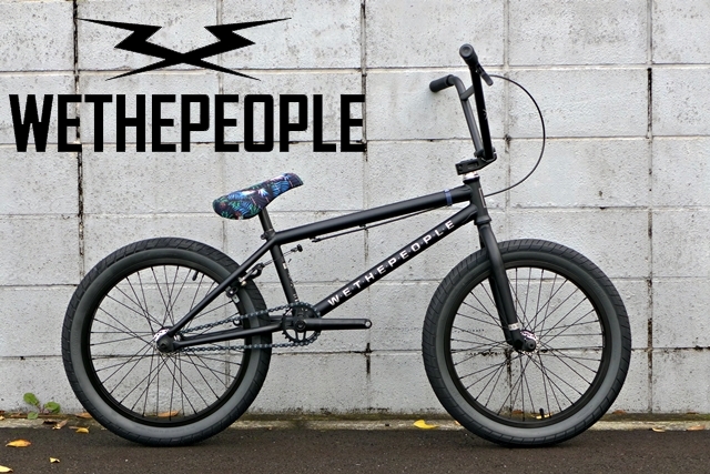 2017 wethepeople reason