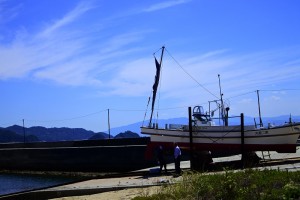 _DSC0962