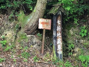 s-IMG_4955