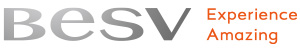 besv