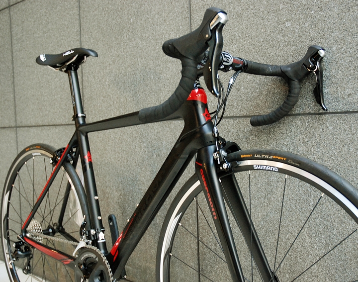 2017年初売り】 最新 2017年モデル グエルチョッティ CARTESIO  