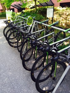 2016キヤノンデール02