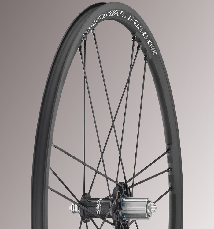 3311_z_shamal-mille-2017-main