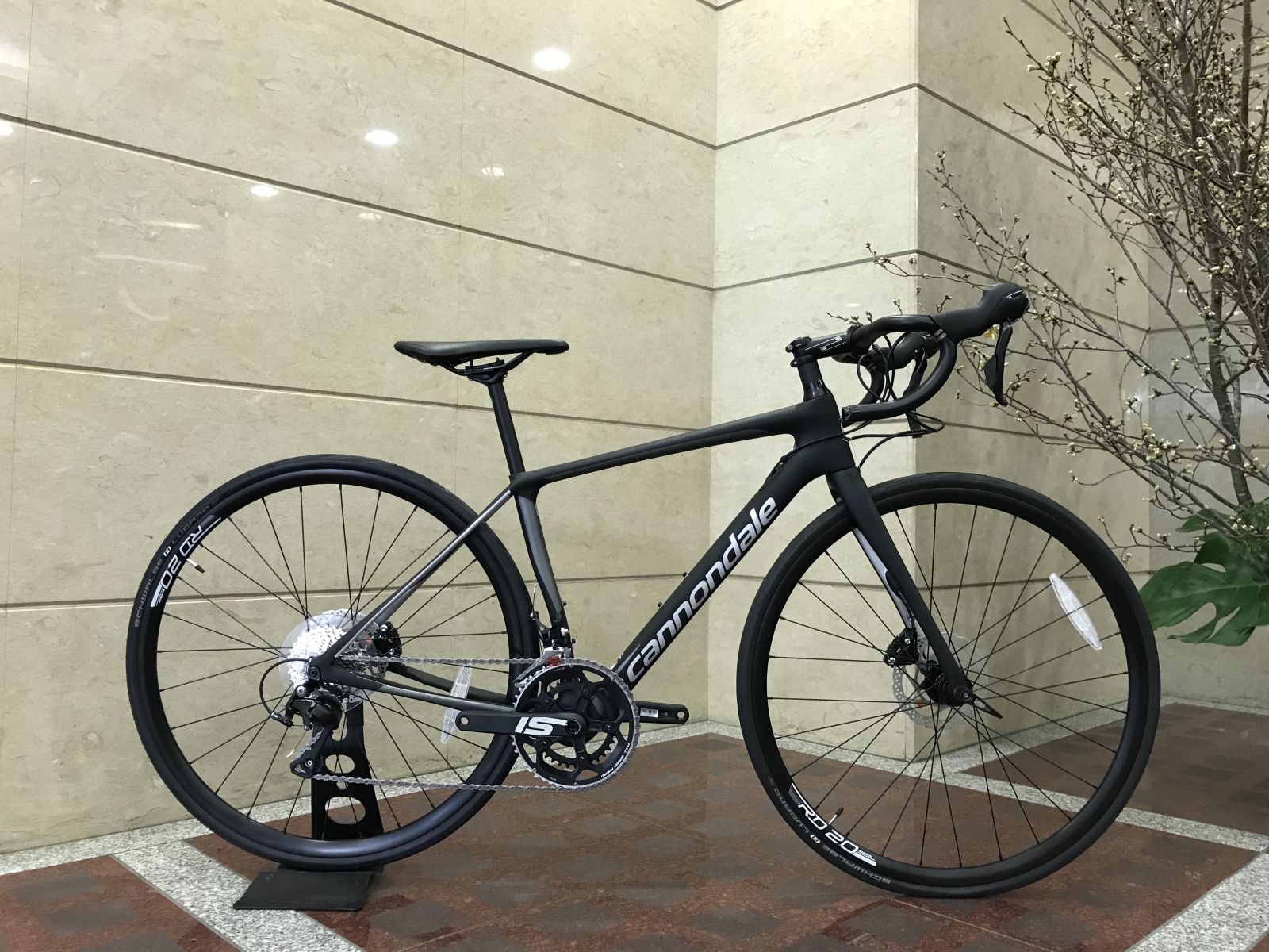 805C212B-4129-442F-A5B0-590DC10BD3DB