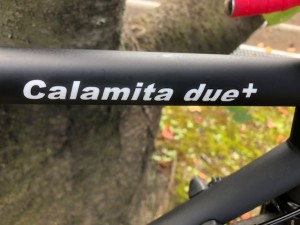 calamita003