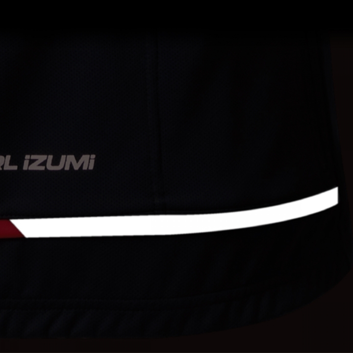 3120-BL_saiki_suso