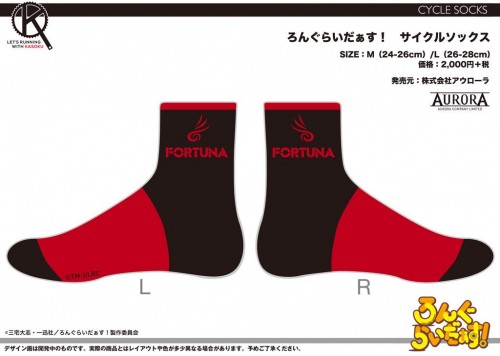lr_socks2