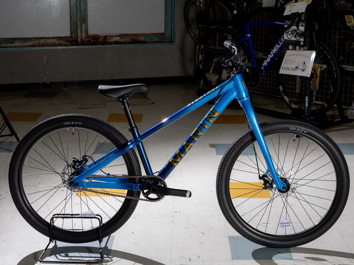 池Ⅽ店頭限定特価】2026年は入荷が無い！？マウンテンブランドの