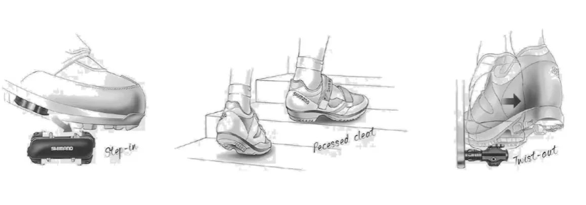 img_intro_1_11zon_1703053478904