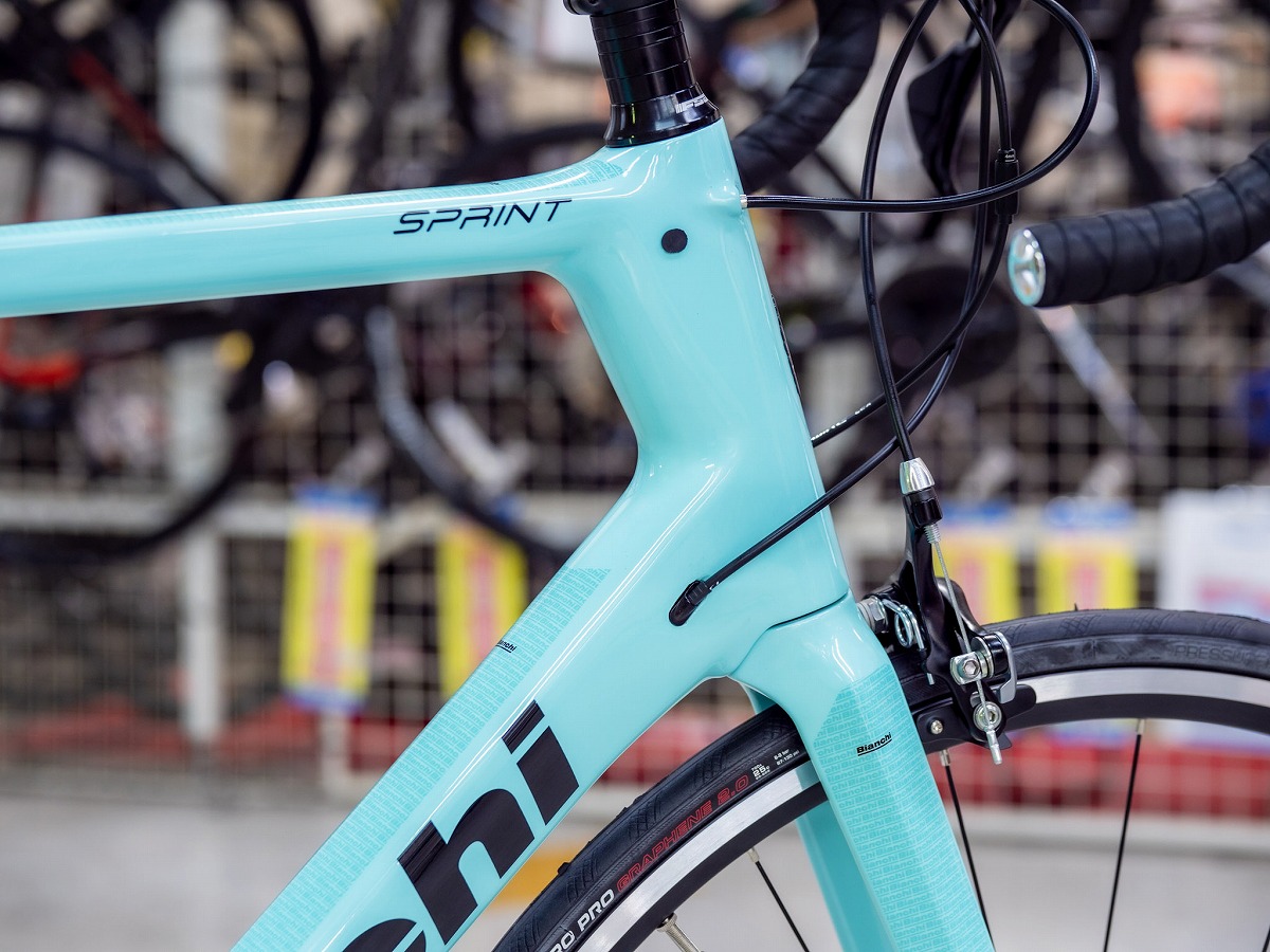 フレーム内装方式