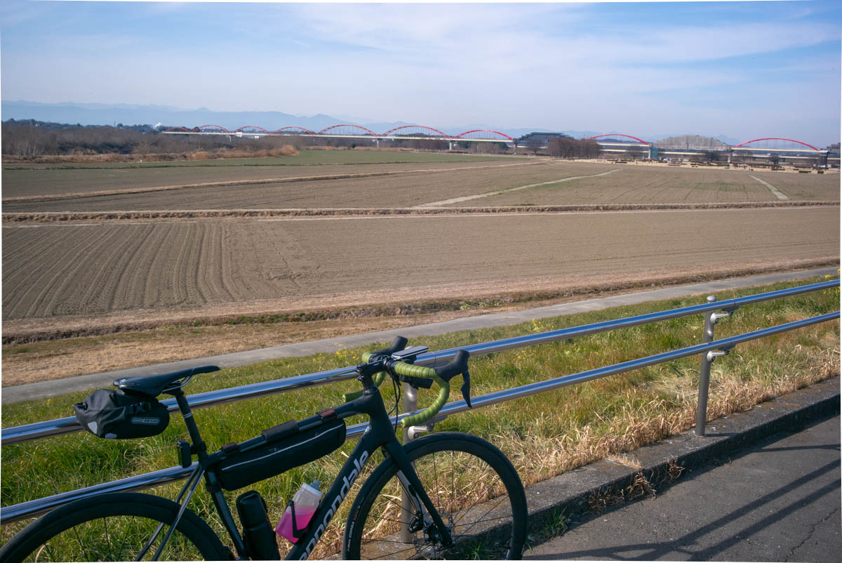 吹上コスモス畑