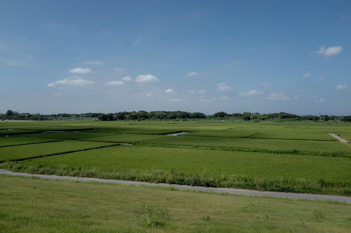 14-L1003290