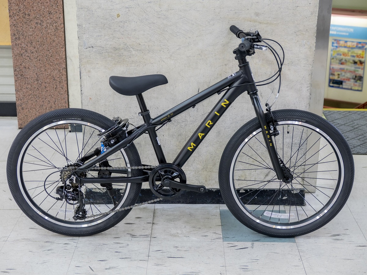 MARIN DONKY JR 22