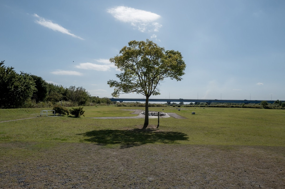 6-L1003347