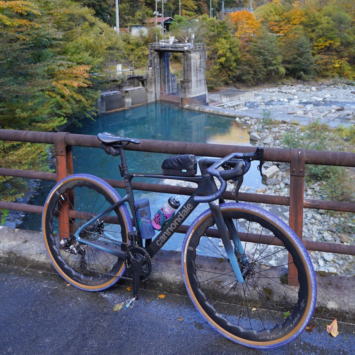 251103alps_bike