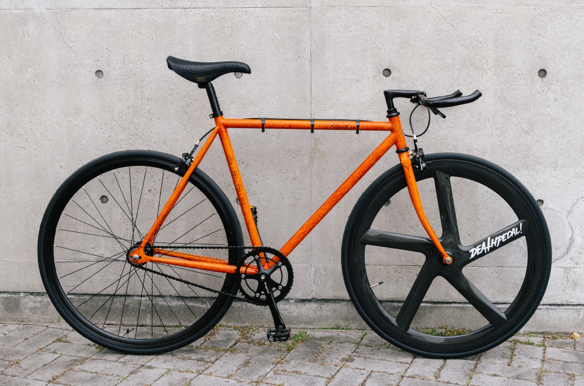 10308648476944bca8e71373.27108120