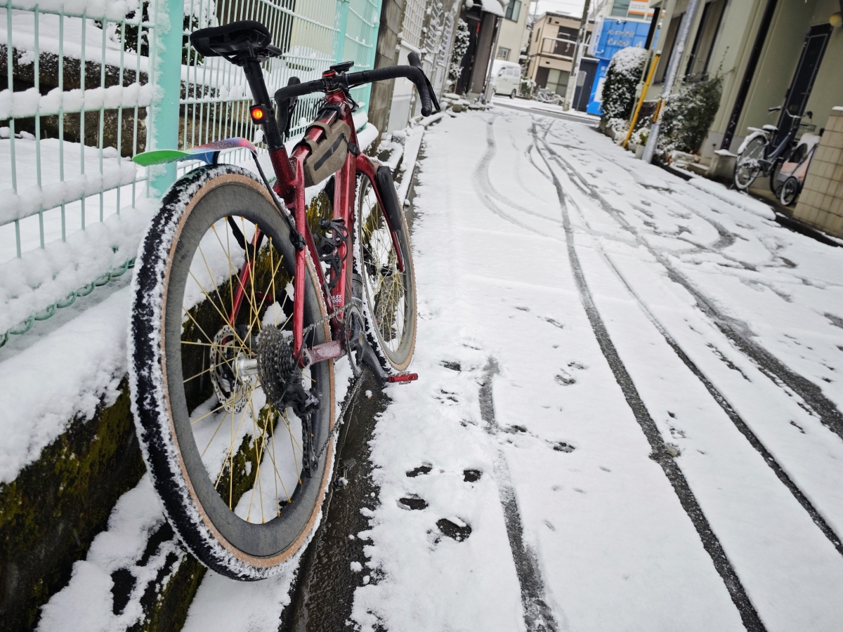 IMG_20260208_073612~2