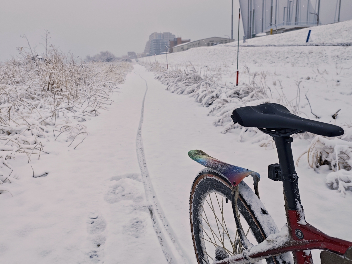 IMG_20260208_082126~2