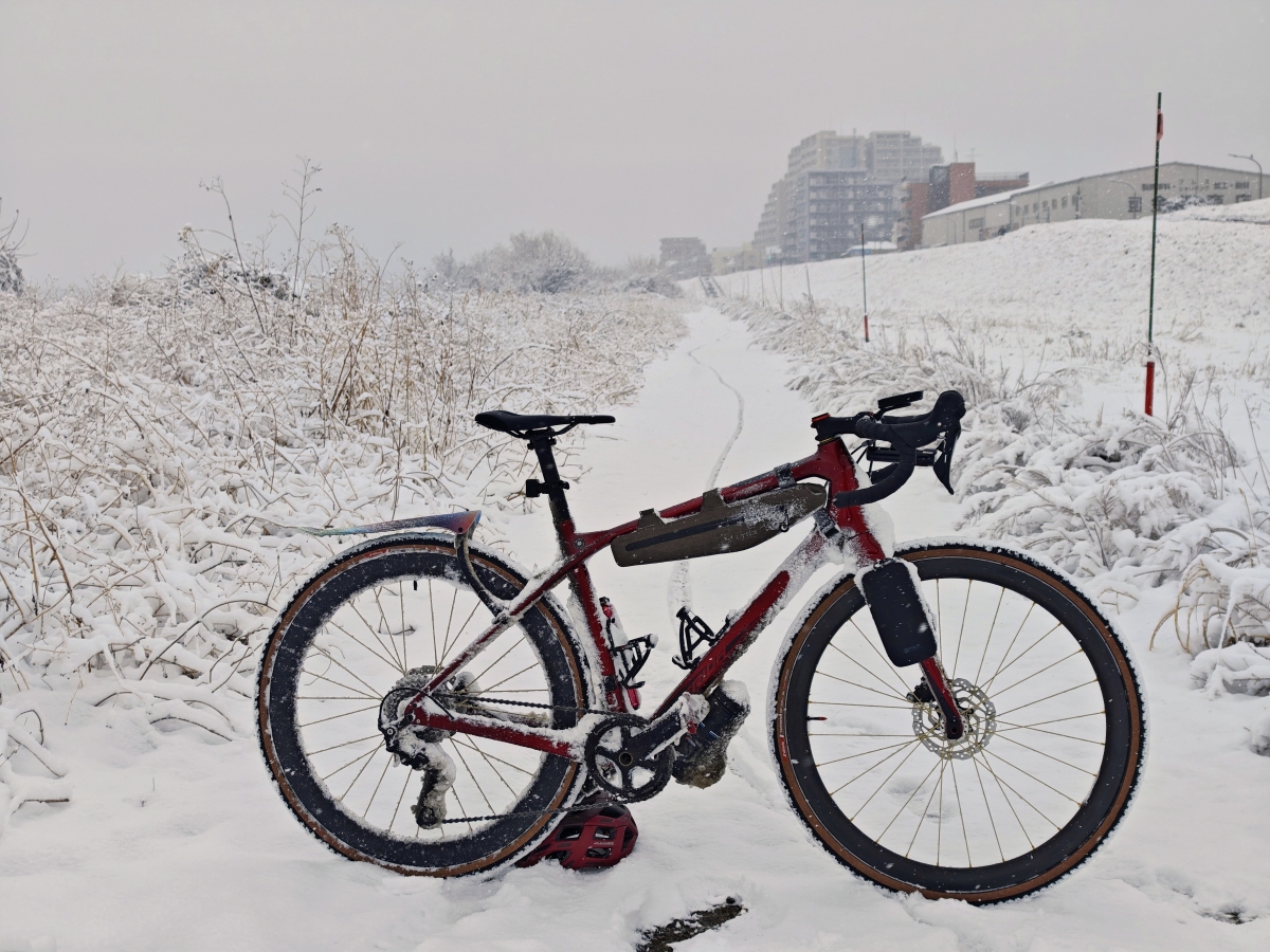 IMG_20260208_082232~2