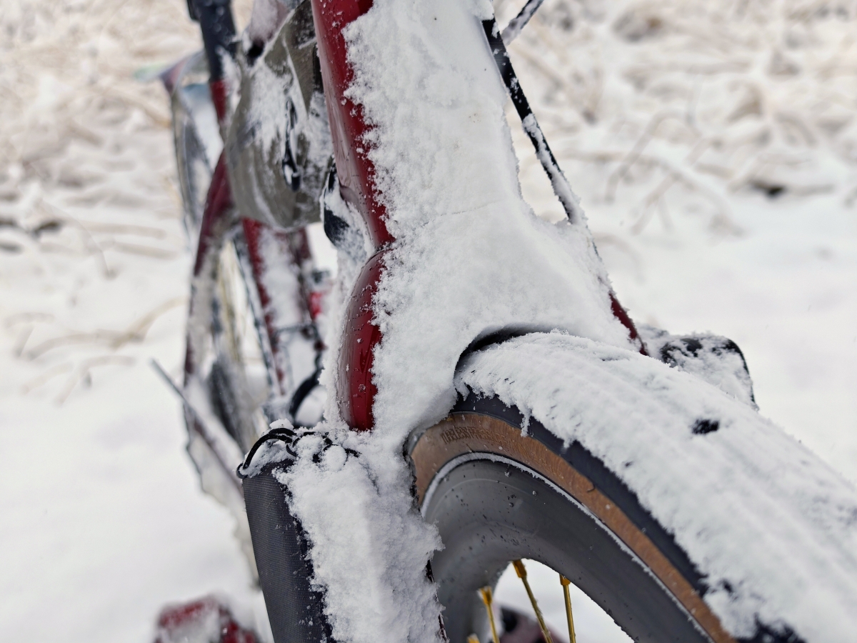 IMG_20260208_082304~2