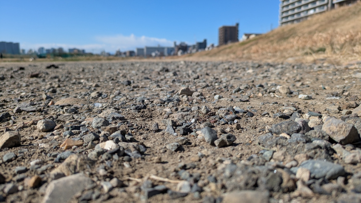 PXL_20260129_023055301