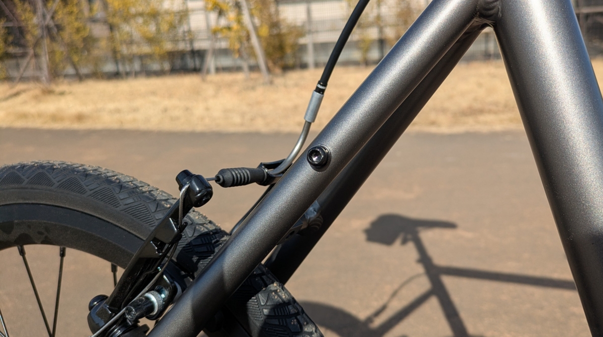 PXL_20260206_042743288