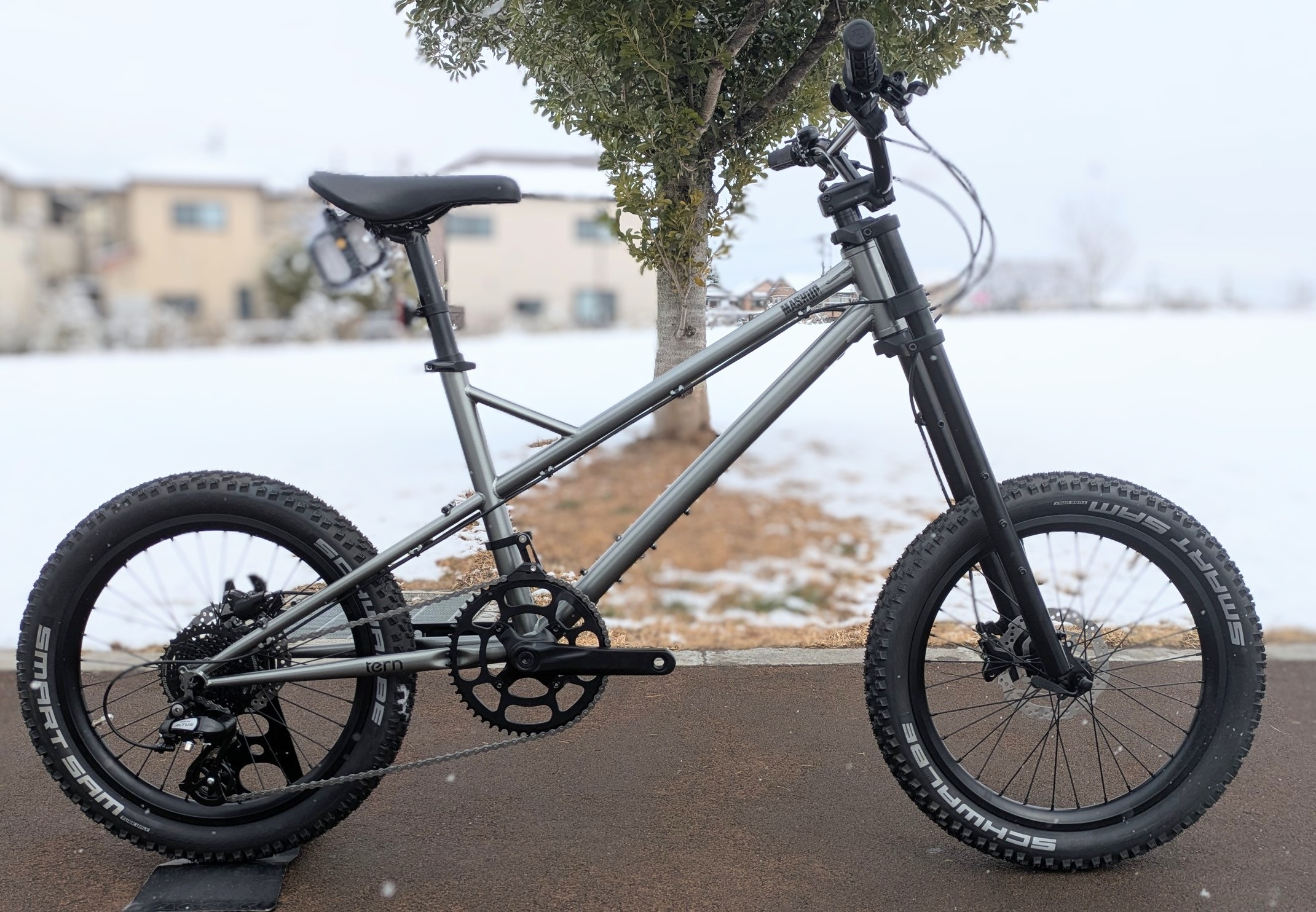 PXL_20260208_035440050~3