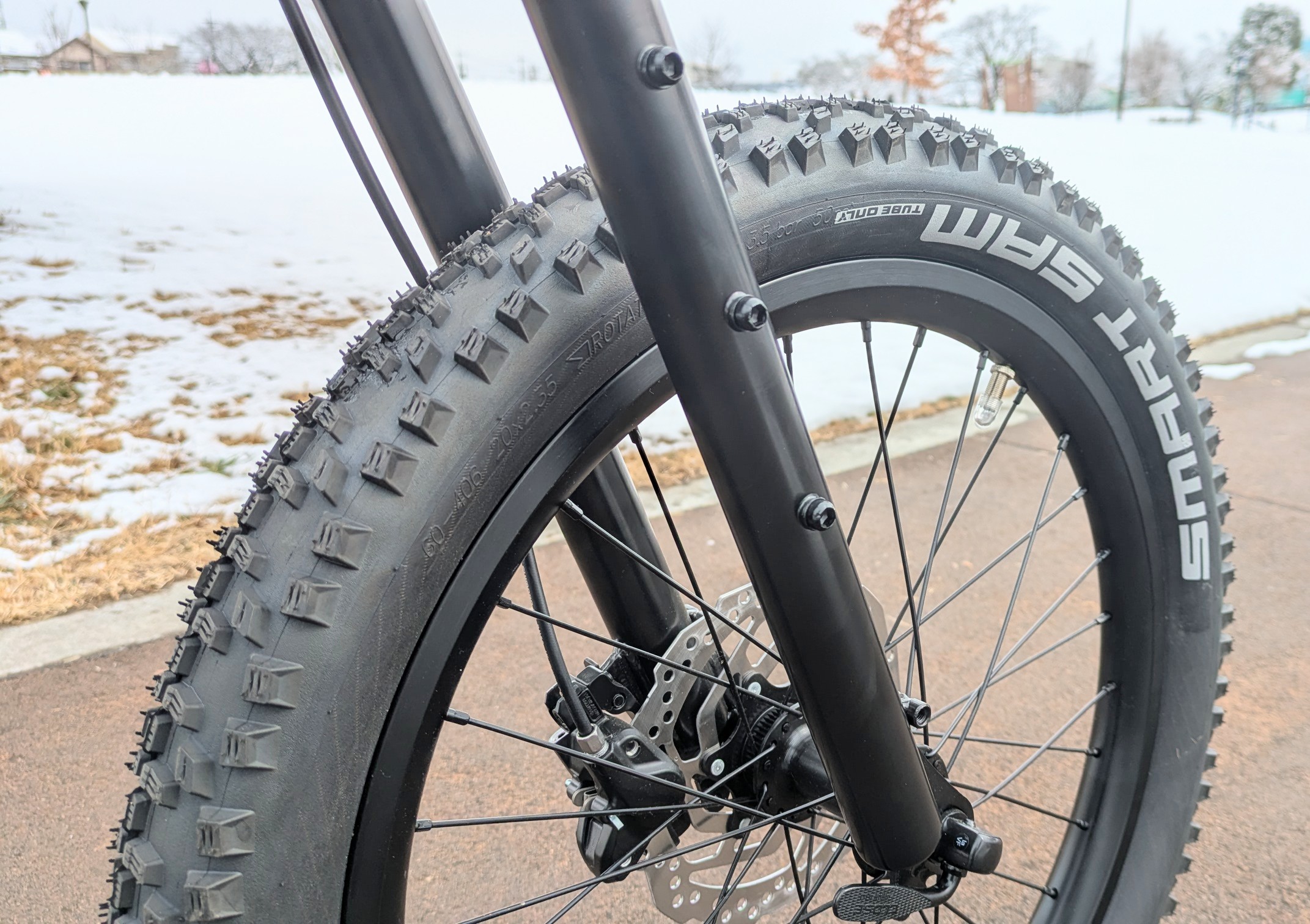 PXL_20260208_035538739~2