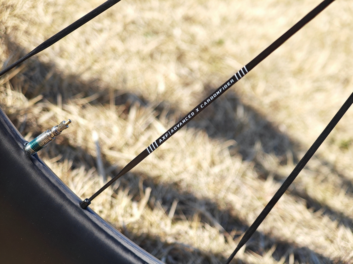 MVIMG_20260311_132720