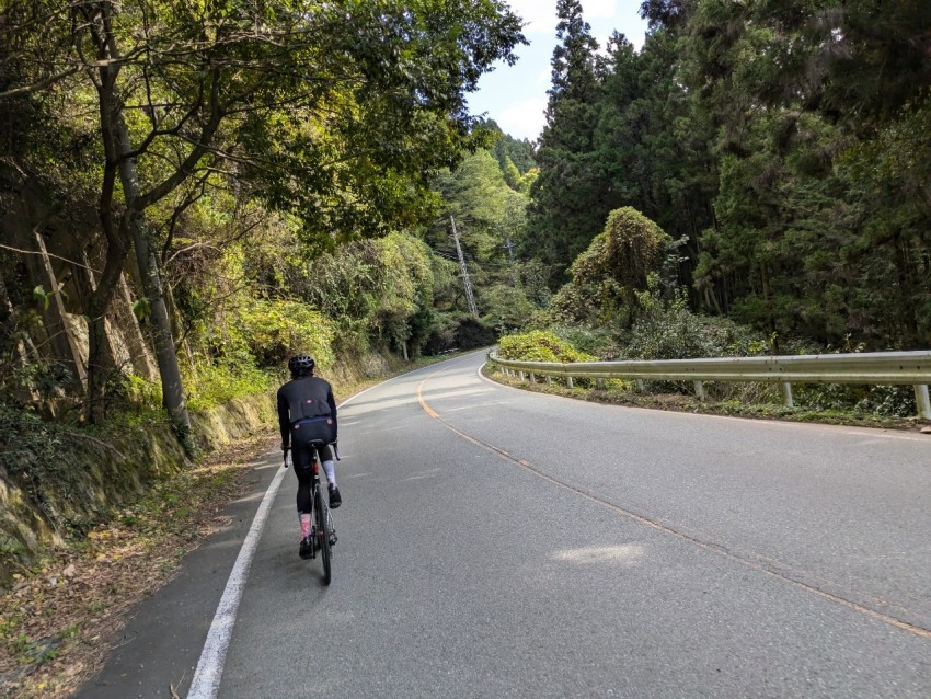 1730899143339-e1735099438907