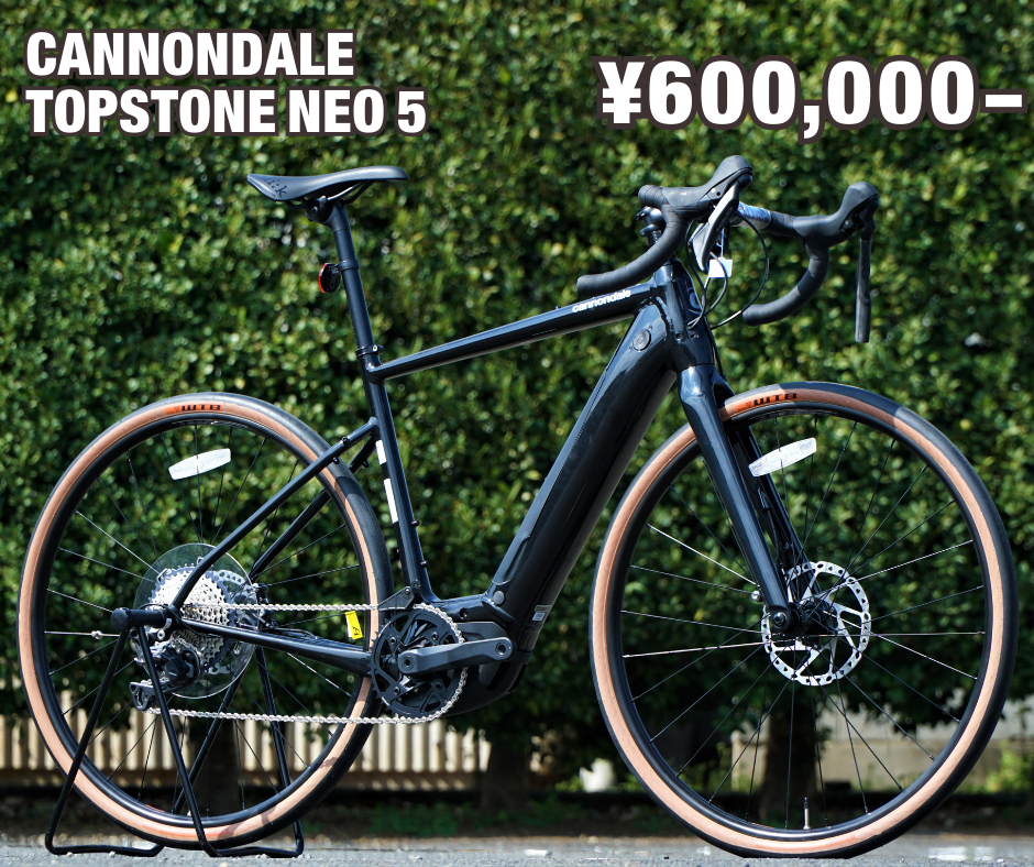 CANNONDALE TOPSTONE NEO 5 