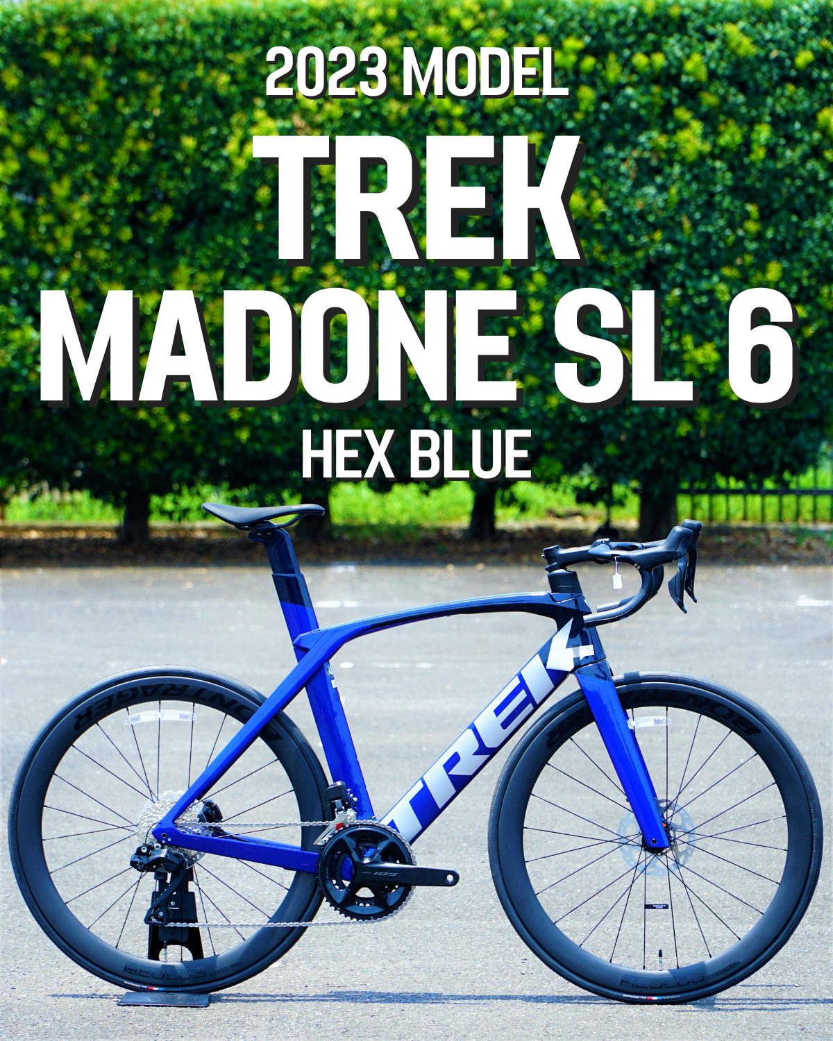 TREK MADONE SL6 Di2 HEX BLUE 56