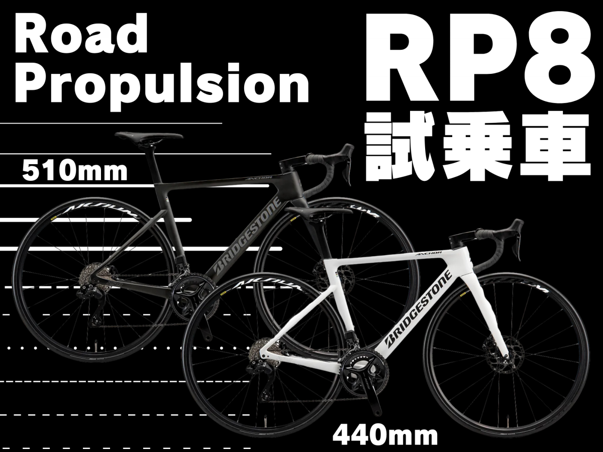 ANCHOR RP8 試乗車 ライン