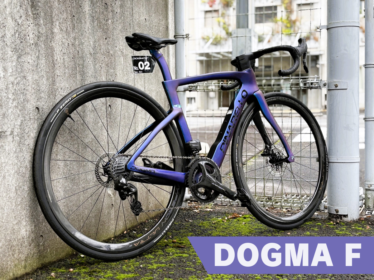 DOGMA F