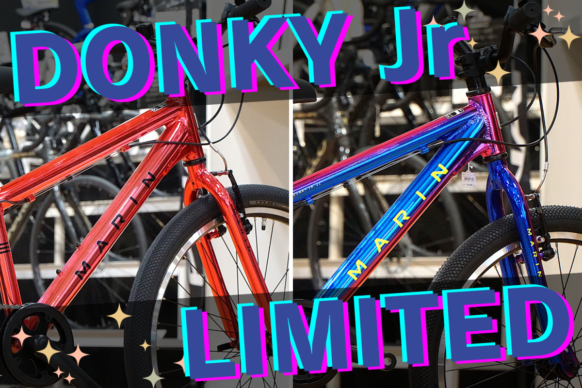 MARIN DONKY JR LIMITED