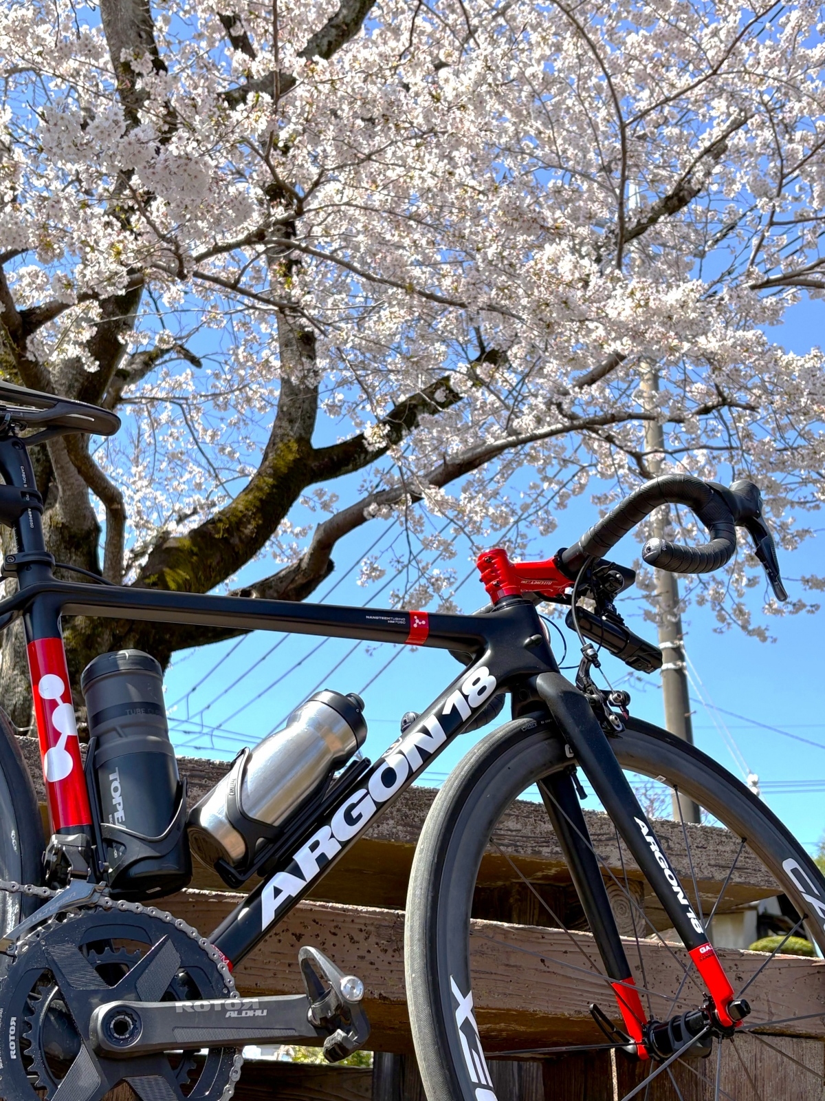 野山北公園自転車道　桜　花見　サイクリング