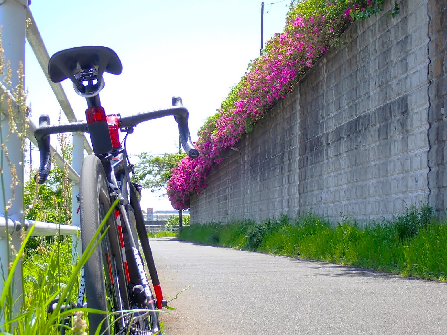 飯田牧場　境川サイクリングロード