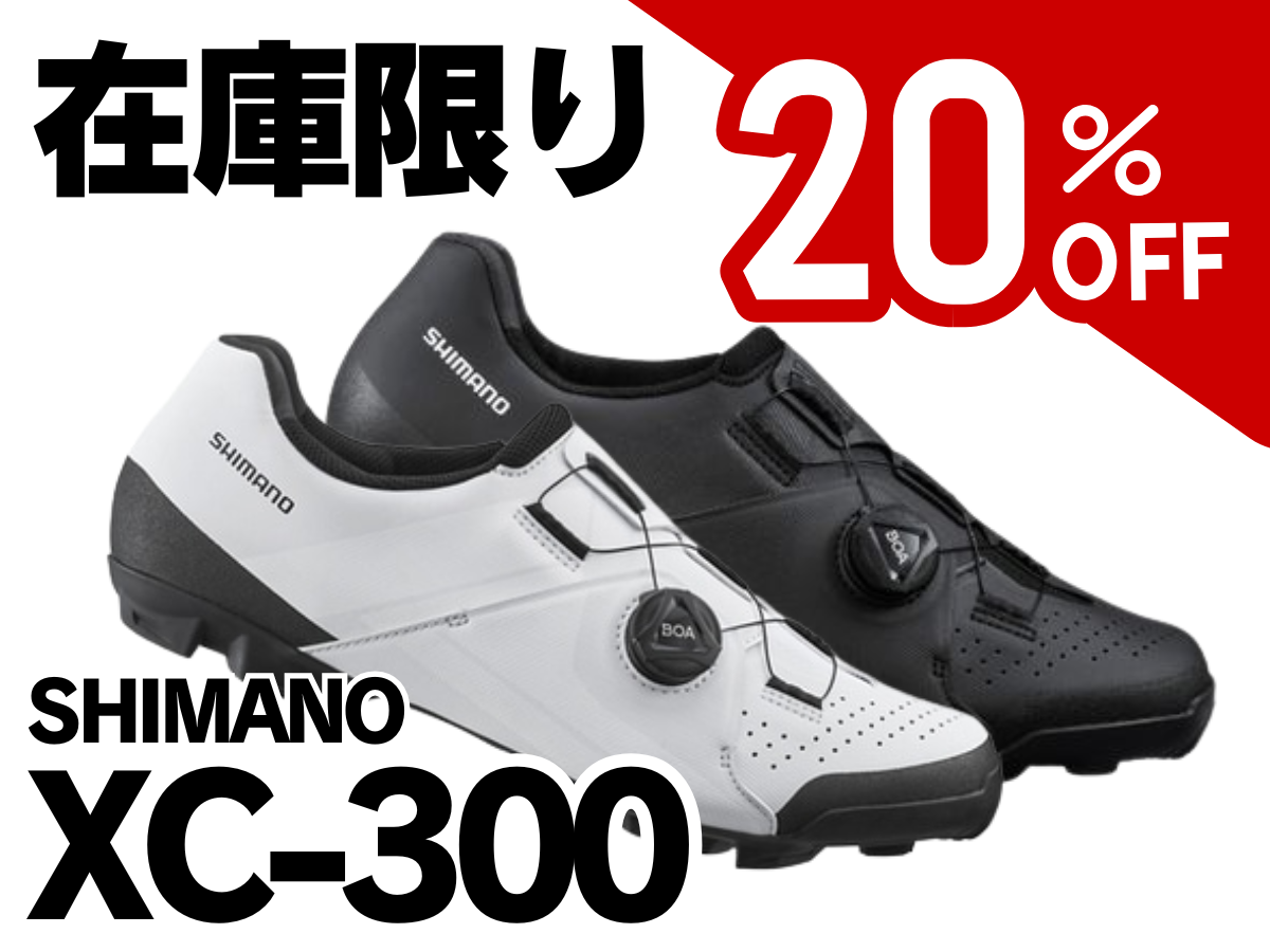 段落テキスト - 2025-06-06T162822.908