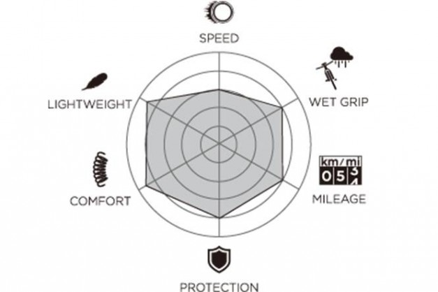 p-zero-race-wo-diagram-2023