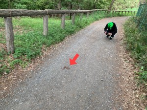 6271C98B-AA84-45BA-9D6C-90CFD86854C9