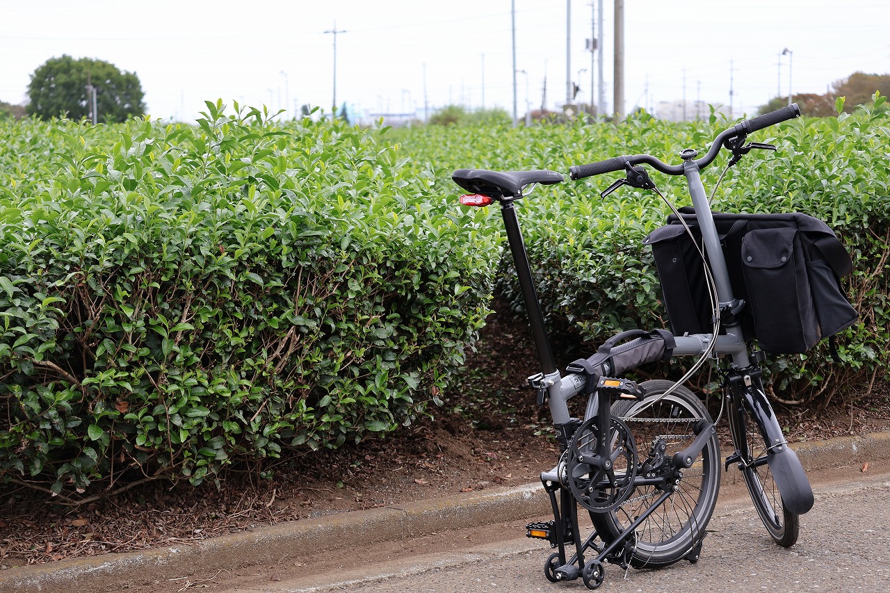 狭山茶で有名な入間店近くの茶畑エリアを見に行ってきました | 入間で自転車をお探しならY's Road 入間店