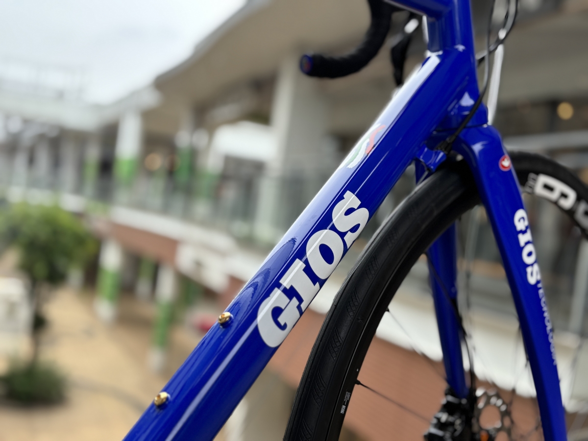 GIOS REGINA ロードバイクフレーム 10月11日まで出品 選べる特典付)2025 GIOS ジオス REGINA レジーナ 105(R7100