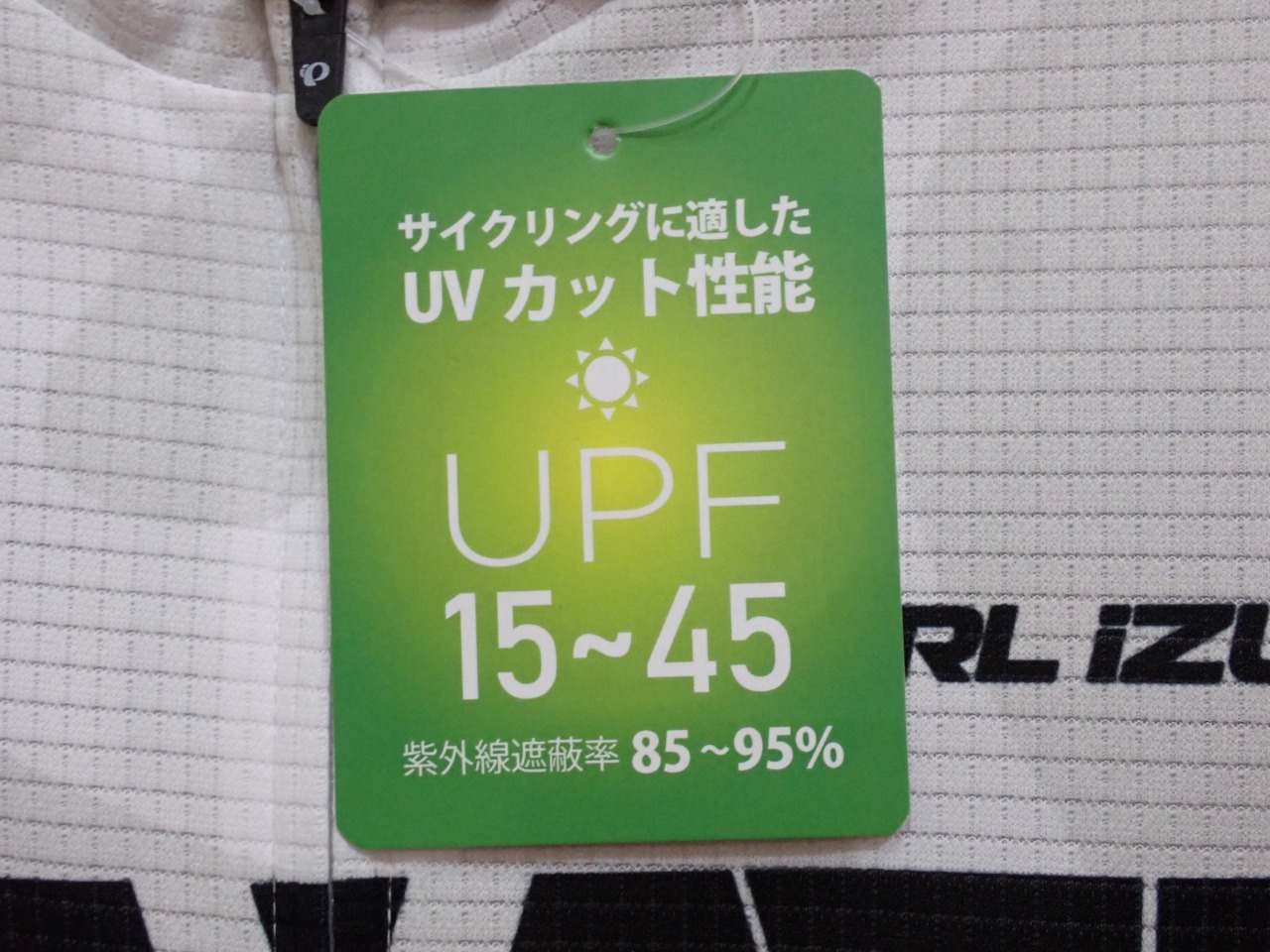 P1010015