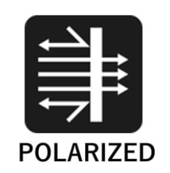 polarized